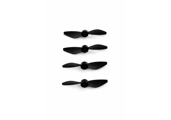 ​Aden Neo Pervane​​